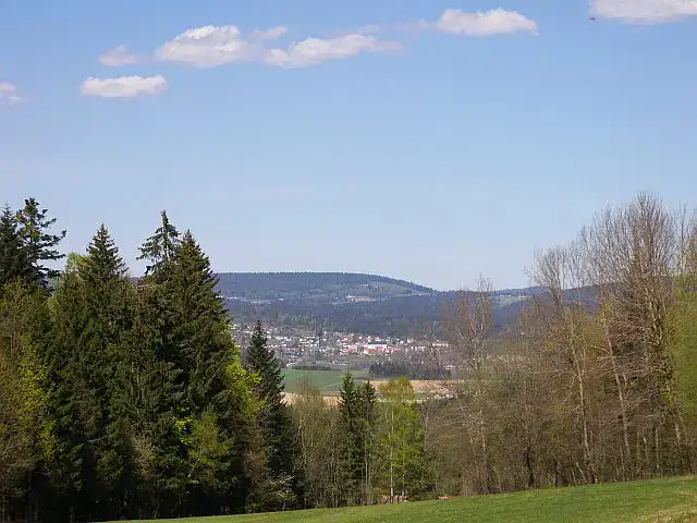Neureichenau, Ausschnitt