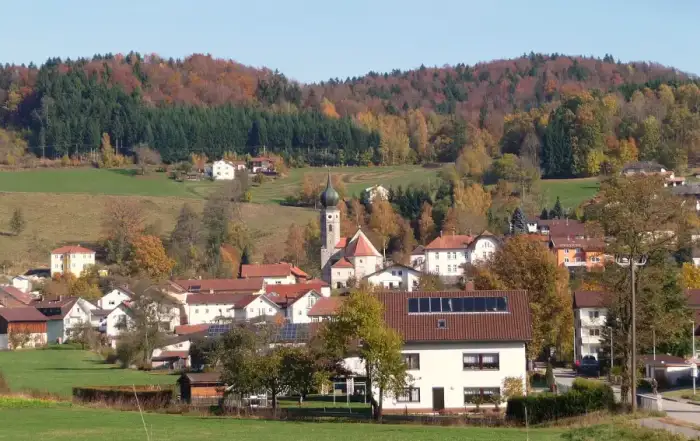 Ringelai, Ausschnitt
