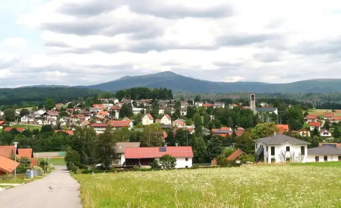 Sankt Oswald-Riedlhütte, Ausschnitt