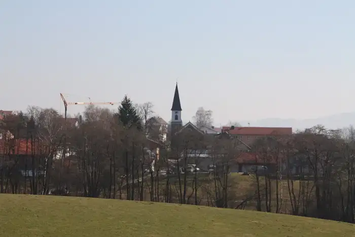 Schaufling, Ausschnitt