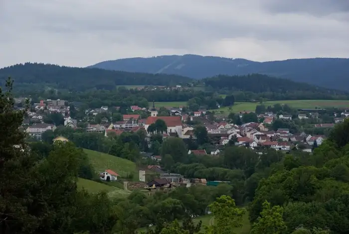 Viechtach, Ausschnitt